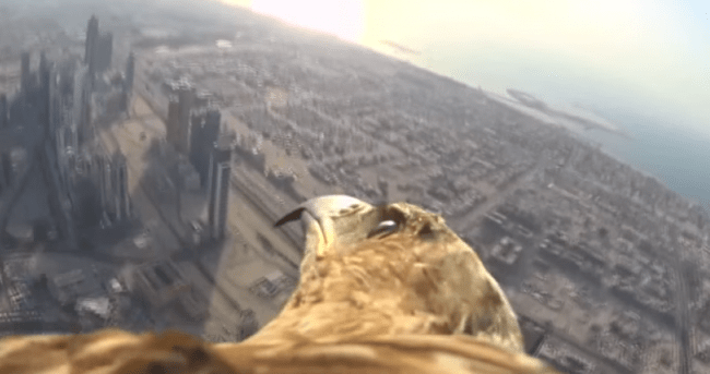 Watch an eagle-eyed view of what it's like to fly from the world's tallest building