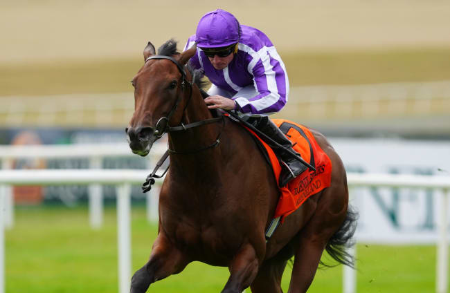 Aidan O'Brien's ‘exciting’ Sun Goddess comes from last to first to win ...