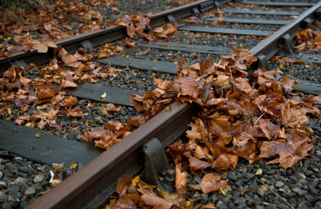 Dublin train timetable revised to account for leaves on the tracks ...