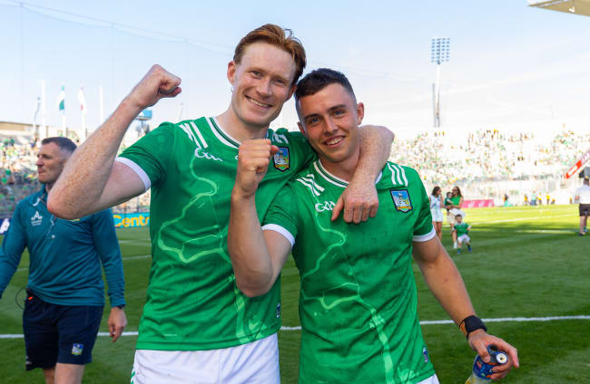 13 for Limerick and 11 for Galway as All-Star hurling nominations ...
