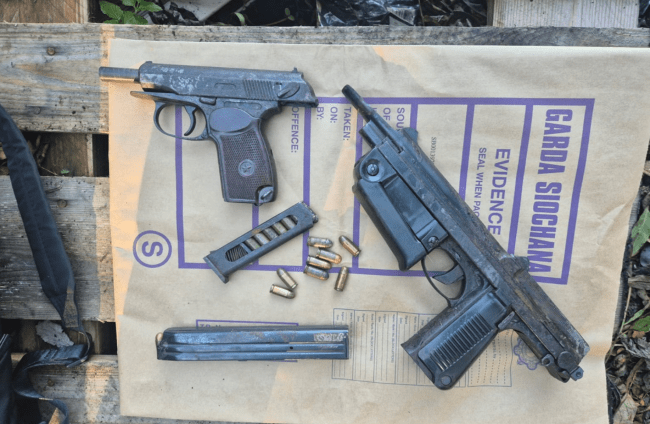 A picture of the seized firearms.