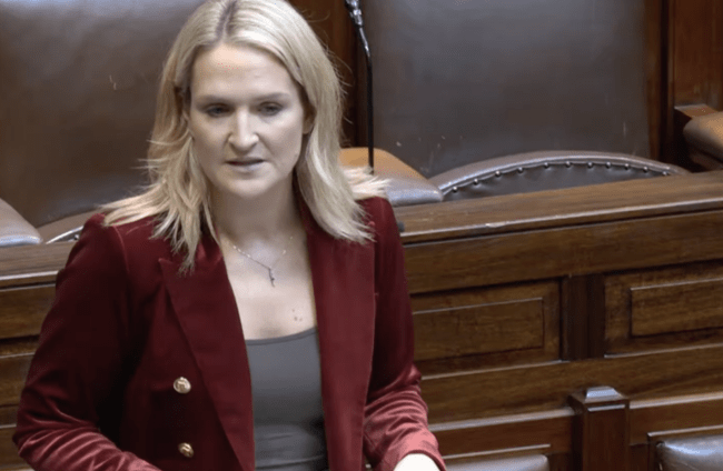 McEntee opening the debate earlier today.